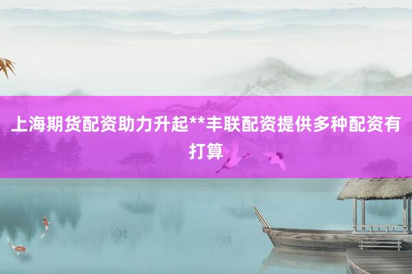 上海期货配资助力升起**丰联配资提供多种配资有打算