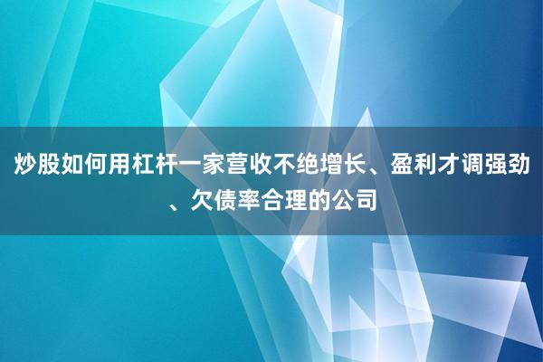 炒股如何用杠杆一家营收不绝增长、盈利才调强劲、欠债率合理的公司